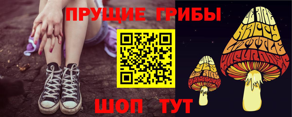 Сергиев Посад  Галлюциногенные грибы GOLDEN TEACHER  Вход с VPN 